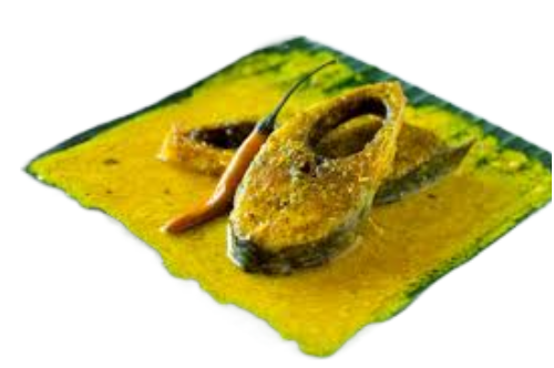 DAHI HILSA