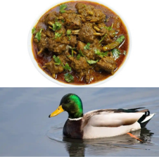 DUCK KOSHA (4 PCS)