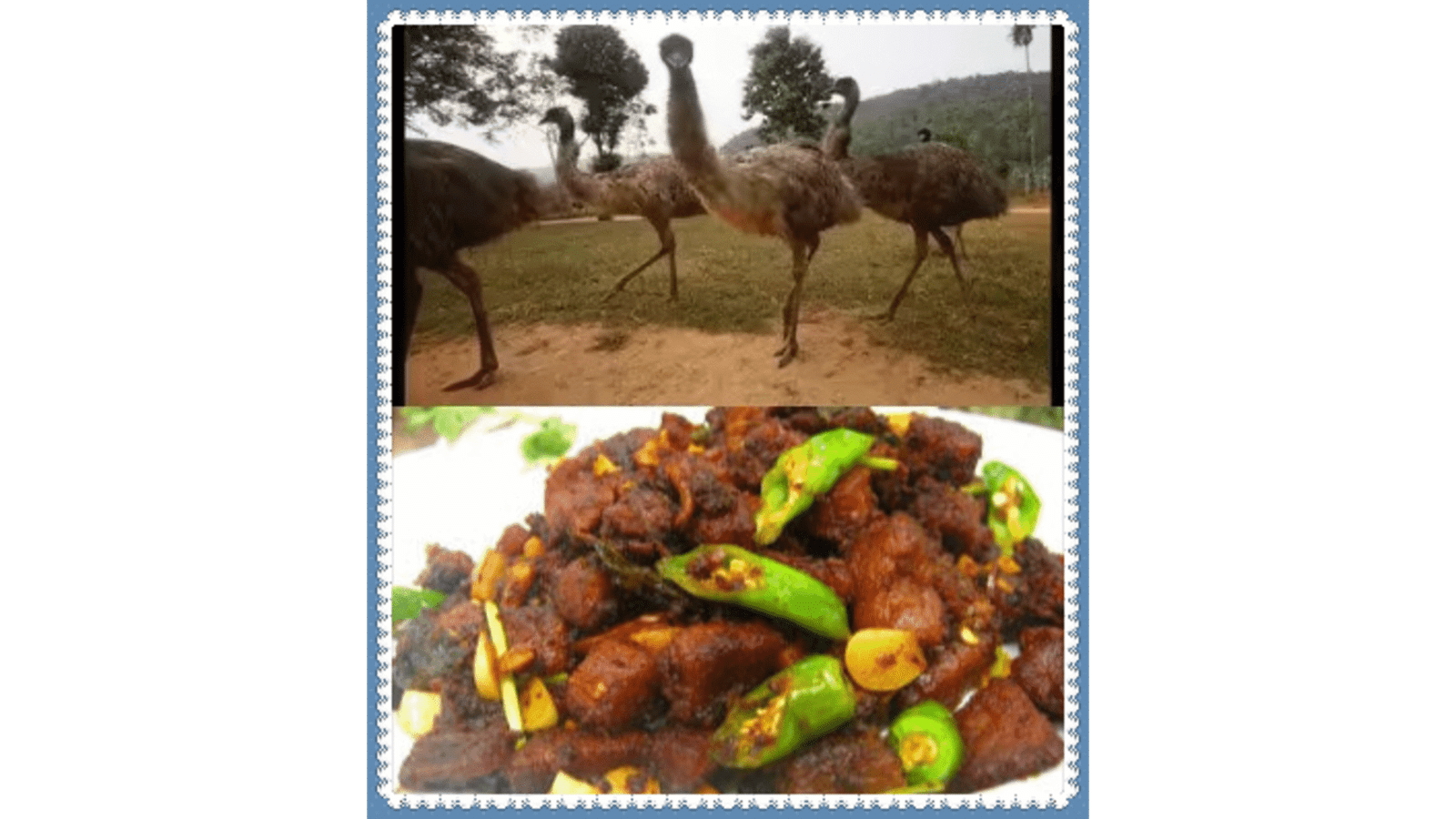 EMU KOSHA (6 PCS)