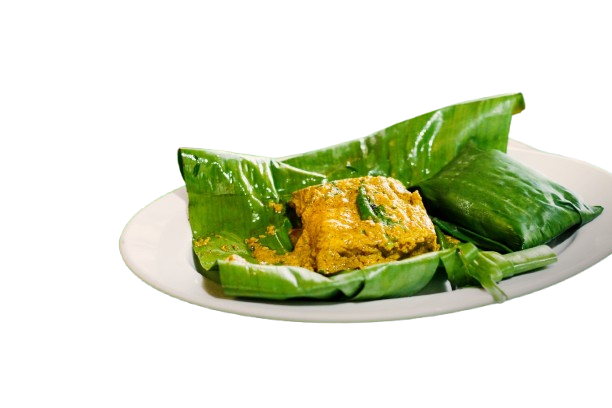 VETKI PATURI